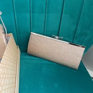 Evening clutch in a soft blush champagne color.